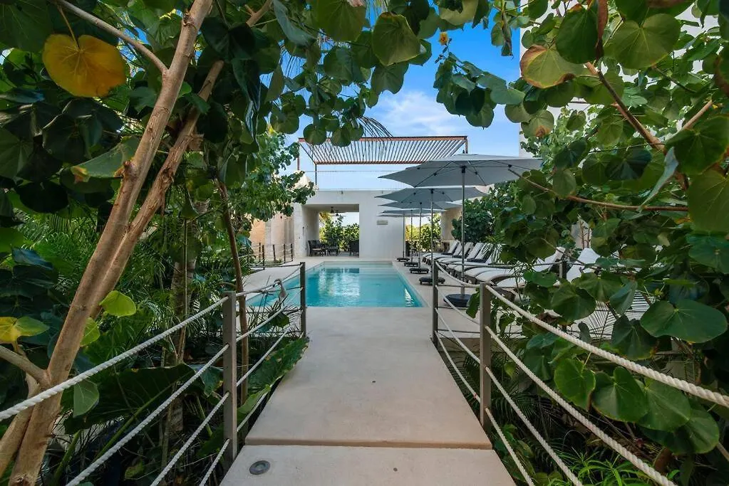 Oceanfront Paradise In Akumal Beach Access Mexique
